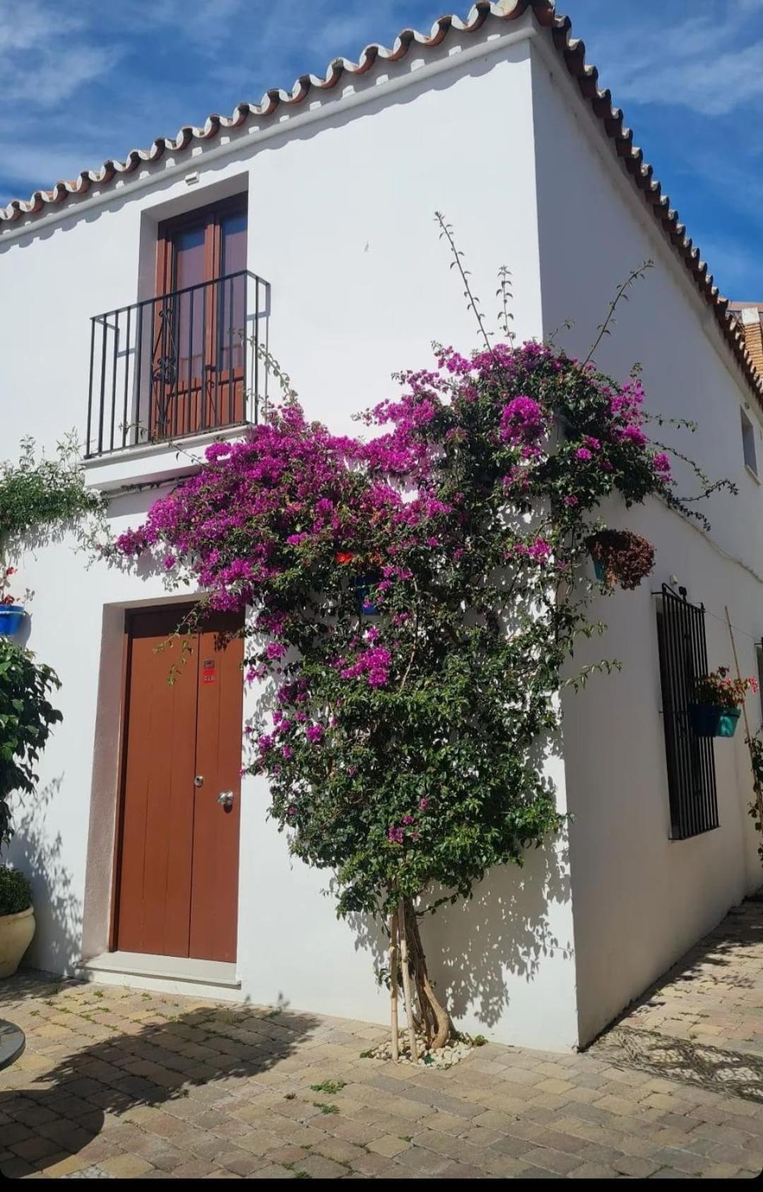 Apto Centro Historico Medieval Estepona Exterior photo